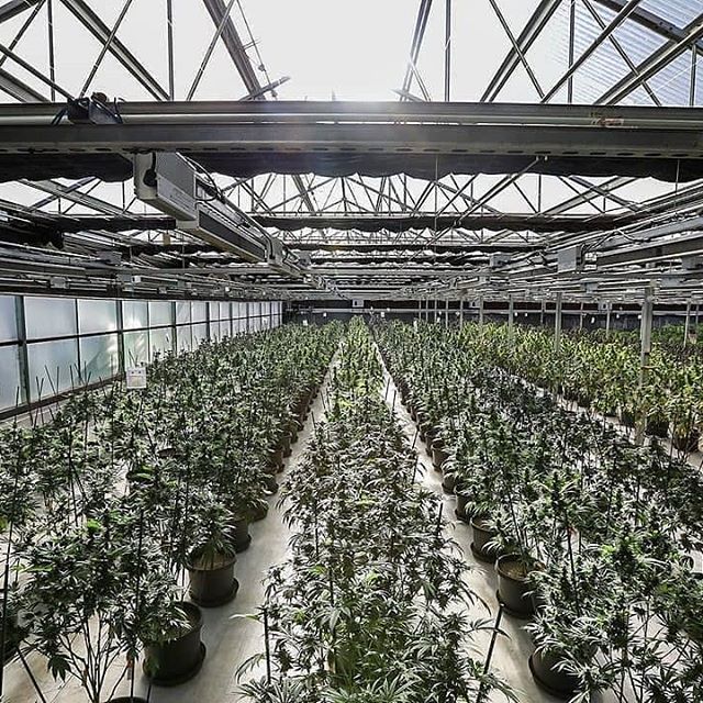 Patriot Care Lowell (Medical Only) Website