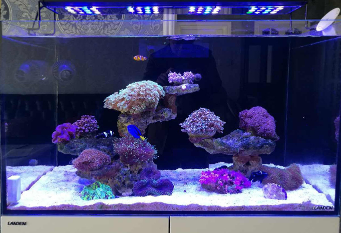 Lumini Technology Co.,Ltd Website