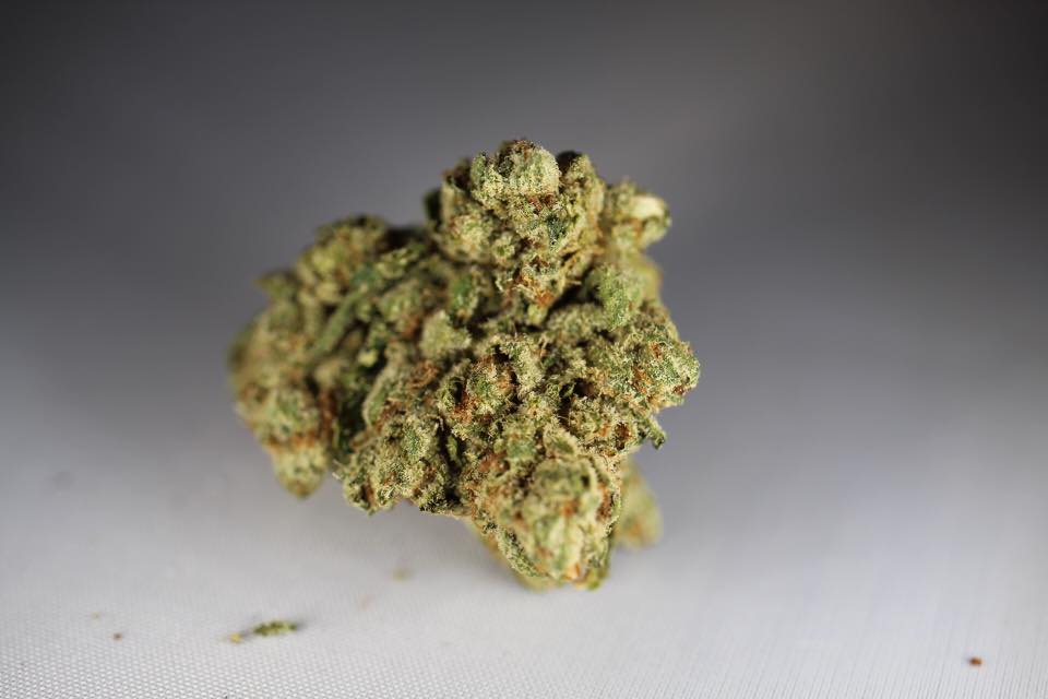 Three Greens Collective Website