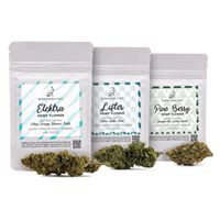 Berkshire CBD Website