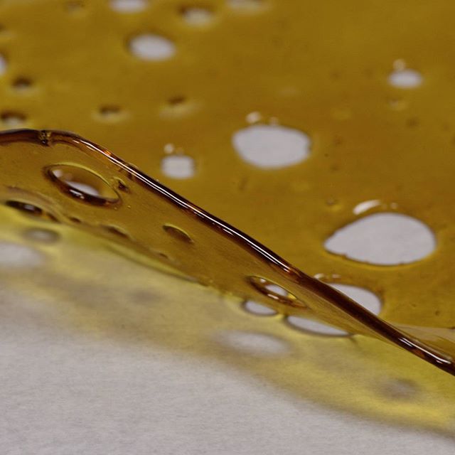 Desert Bloom Releaf Center Website