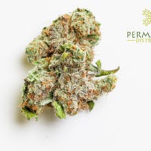Permafrost Distributors Website