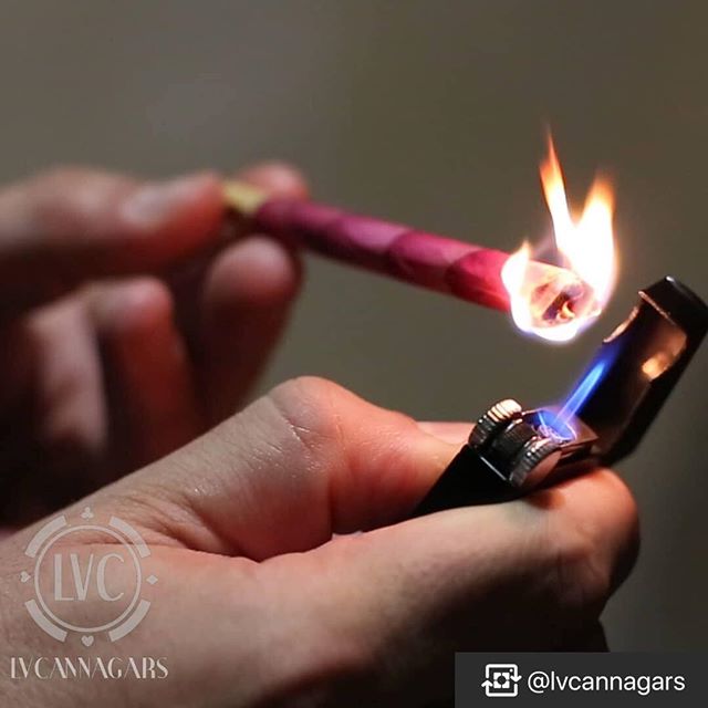 CANOPI - Downtown Website