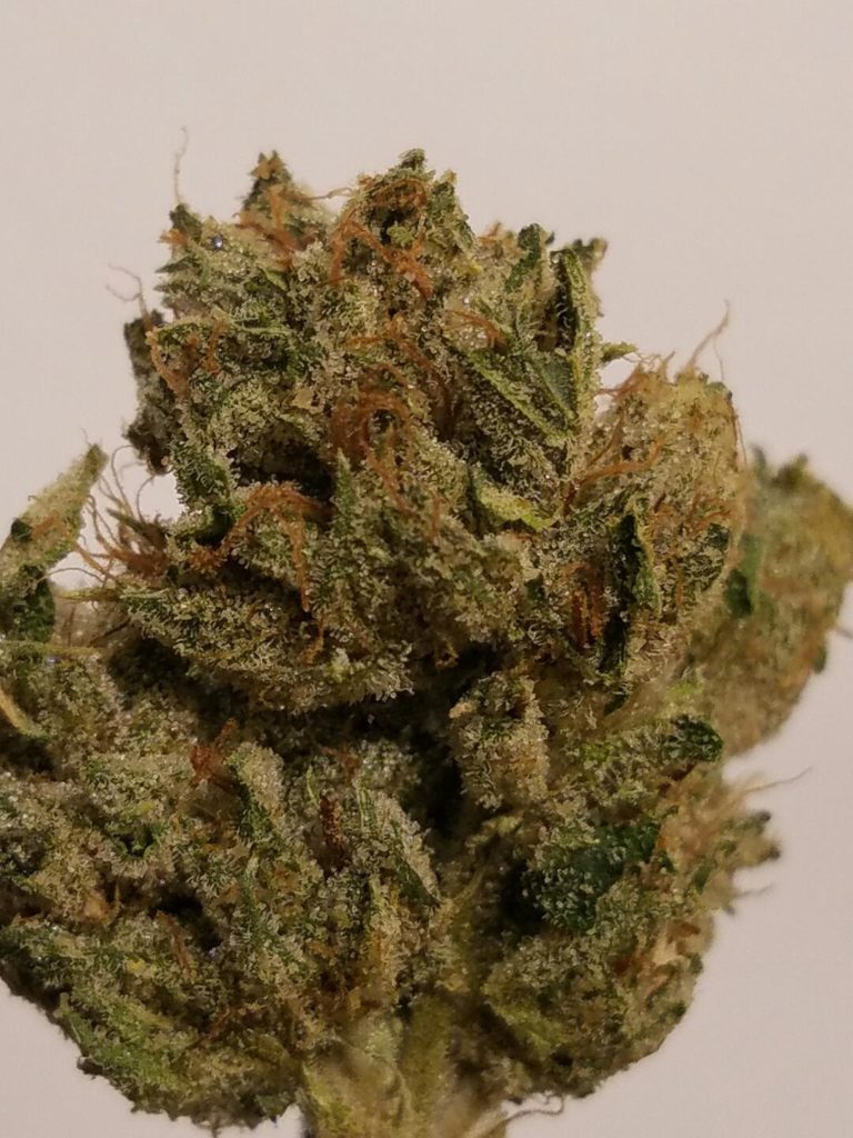 AGT - Lake Forest Website