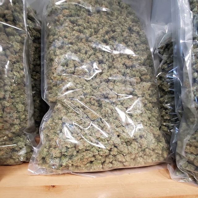 Trees Waterfront Website