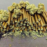 The Cannabis Method Website