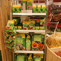 asb greenworld Website