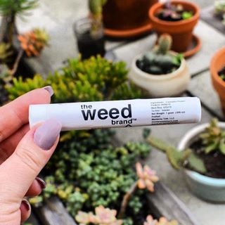 Kushism Van Nuys Website