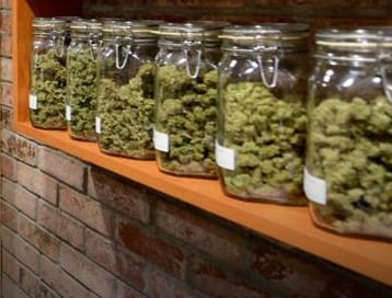 Las Vegas ReLeaf - Delivery Website