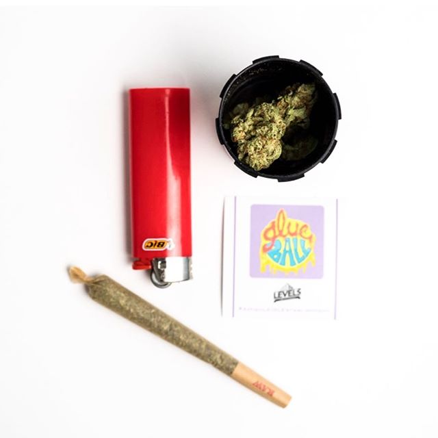 Levels - Denver Website