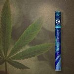 Lightshade - 6th Avenue Website