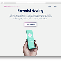 Clear Bright Days Website