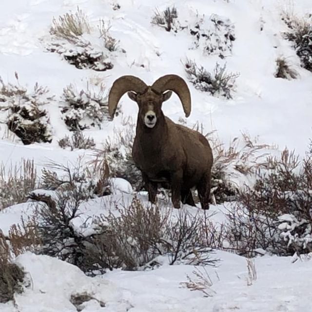 1:11 Dispensary Website