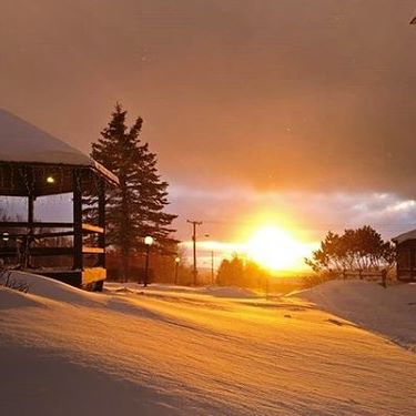 Champlain Valley Dispensary - Burlington Website