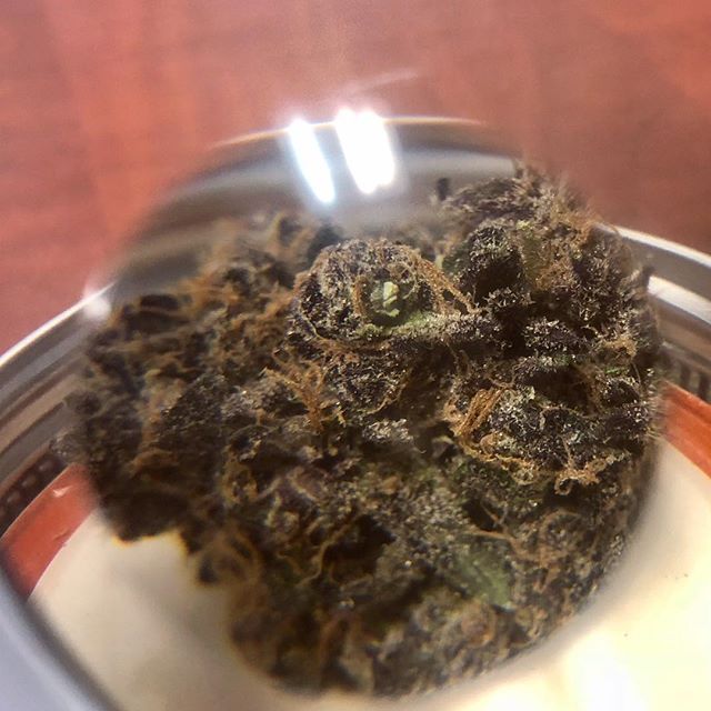 Highway 420 Seaside Website