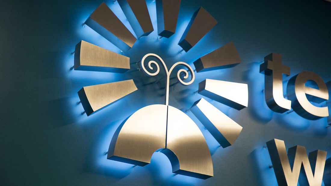 Temescal Wellness - Pittsfield (Rec) Website