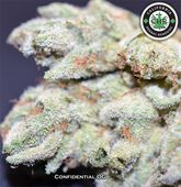 LOS ANGELES KUSH - EAST LA Website