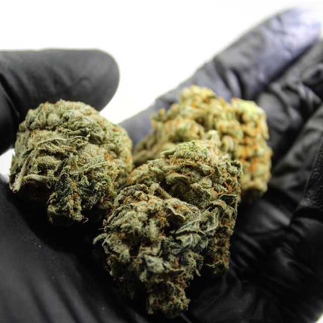 Doc's Apothecary - Denver / Globeville Website