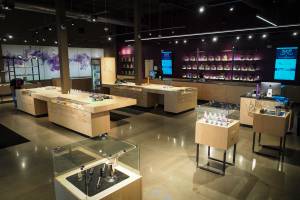 Altitude East Denver Website