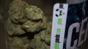 Natures Recreational Center - Tacoma, Washington Website