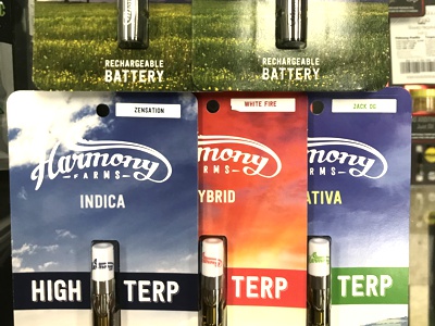 The Back Porch - Recreational Website