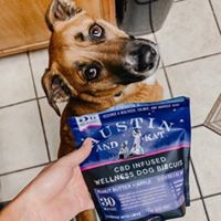 Austin and Kat Website