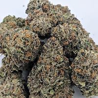 New MexiCann Website