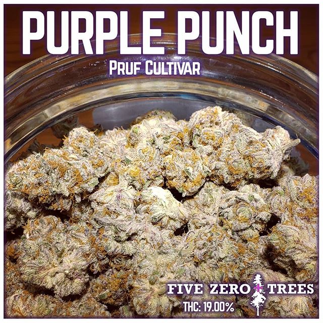 Five Zero Trees Dekum Website