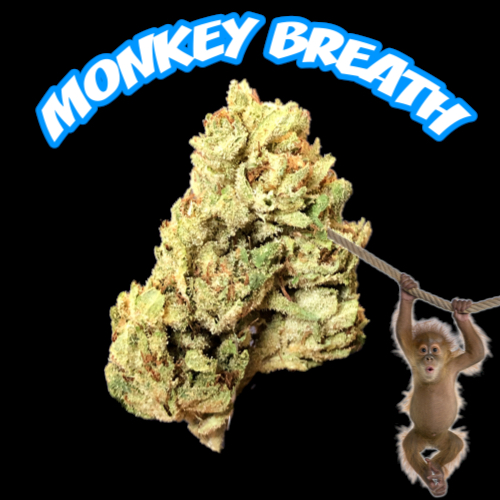 Healthy Greens Delivery Website