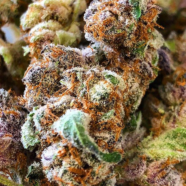 Wolf Pac Cannabis - Federal Blvd Website