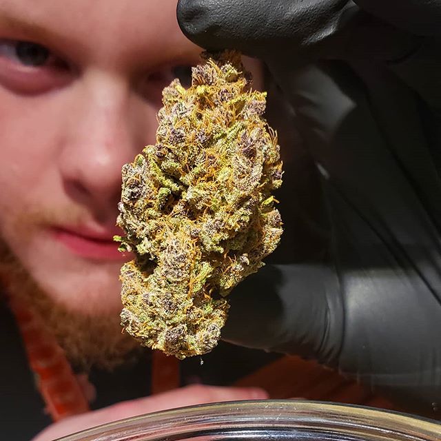 Five Zero Trees East Website