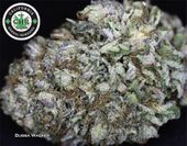 LOS ANGELES KUSH - EAST LA Website