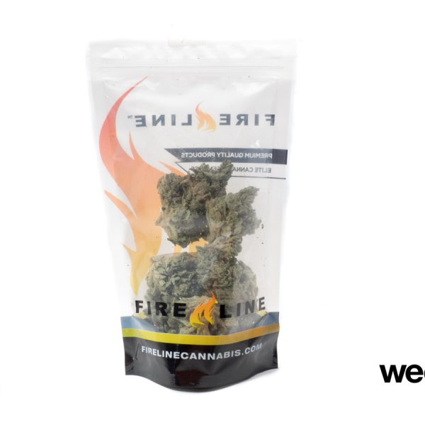 A Greener Today - Lynnwood Website