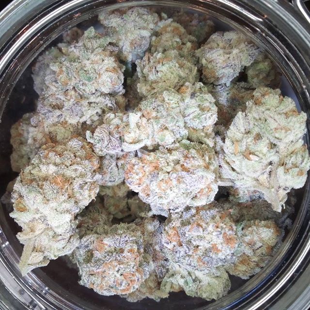 Budlandia - Division St. Website