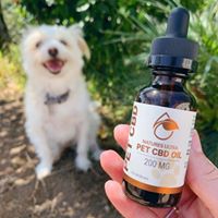 Nature’s Ultra Website