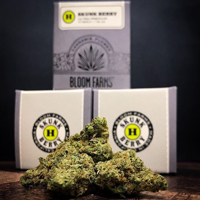 Captain Jacks Website