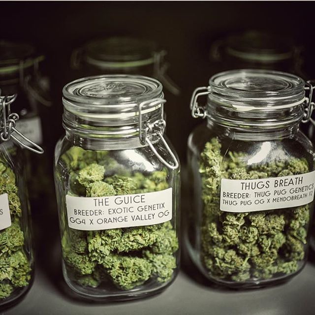 Grass Monkey Cannabis Company Website