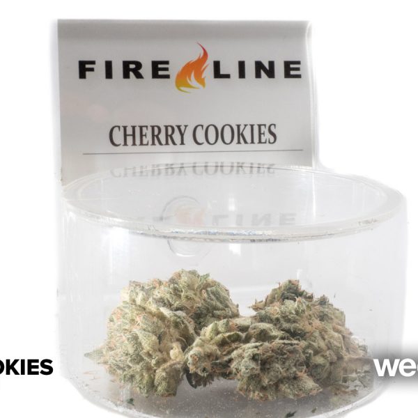 A Greener Today - Lynnwood Website