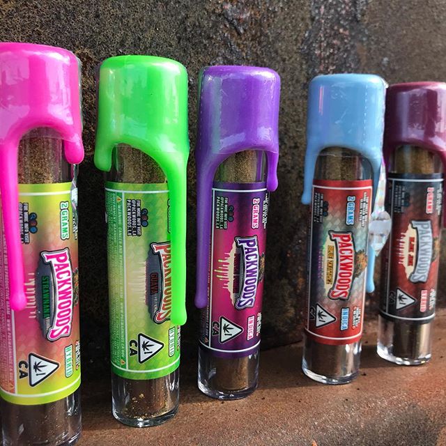 The Reef - Seaside Website