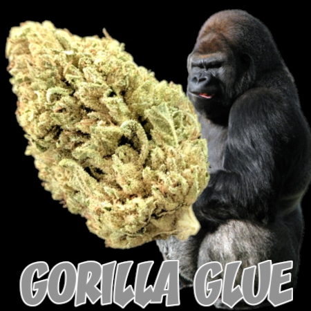 Healthy Greens Delivery Website