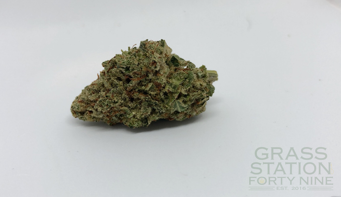 Grass Station 49 - Cushman Street Website