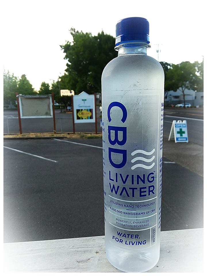 Little Amsterdam - Nevada Website