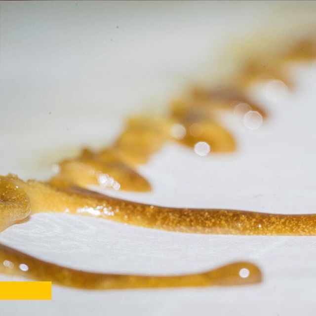 Casper’s Cannabis Club Website