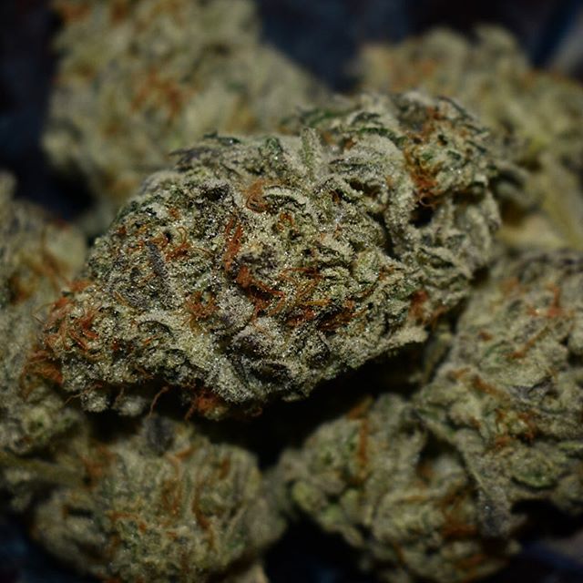 Grass Monkey Cannabis Company Website