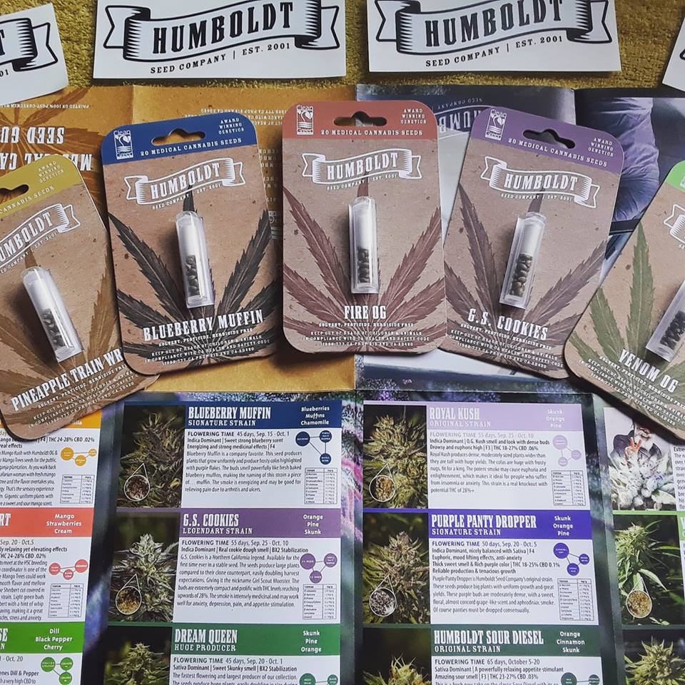 Irvine Seeds Website