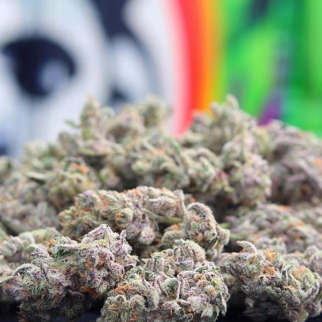 Grass Monkey Cannabis Company Website