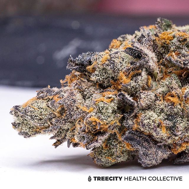 Treecity Health Collective Website