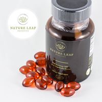 Nature Leaf Organics Website