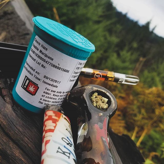 Green Oasis NE Website