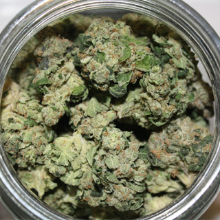 Medicine Man - Thornton Website